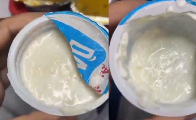 Vande Bharat passenger finds live worms in packaged curd; vendor fined, contract terminated
